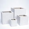 chau-trong-cay-da-mai-terrazzo - ảnh nhỏ  1