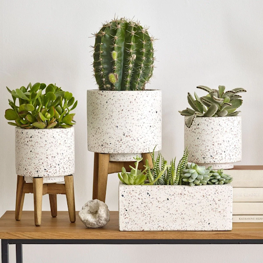 Chậu trồng cây đá mài Terrazzo