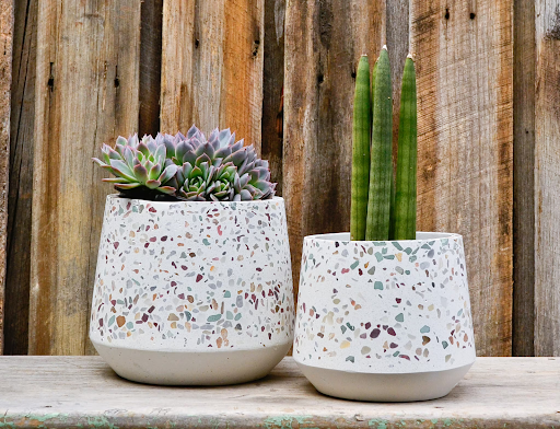 Chậu trồng cây đá mài Terrazzo