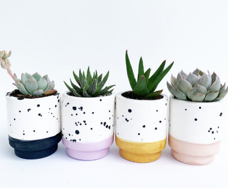 Chậu trồng cây đá mài Terrazzo