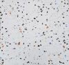tam-da-mai-terrazzo - ảnh nhỏ  1