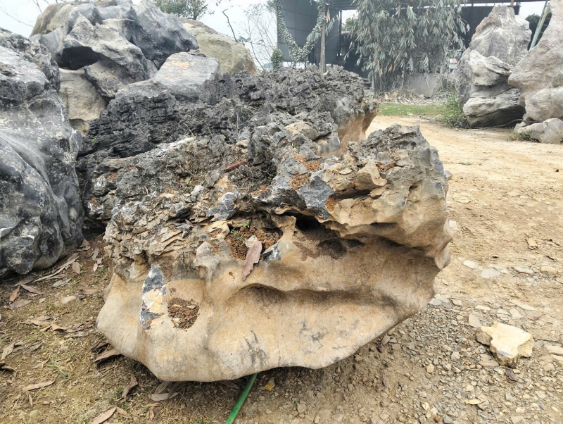 Đá Nghệ Thuật Phong Thủy 15