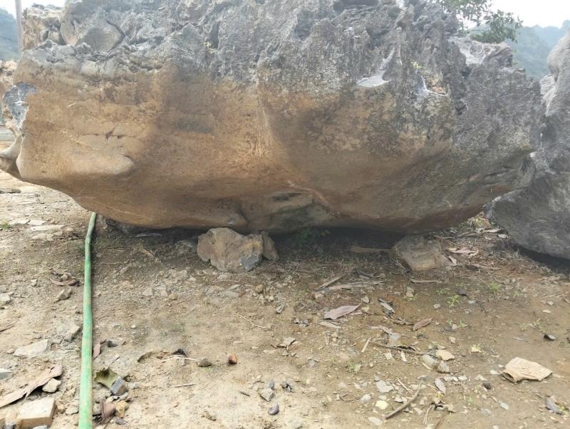 Đá Nghệ Thuật Phong Thủy 19
