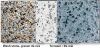 da-rua-da-mai-terrazzo - ảnh nhỏ  1