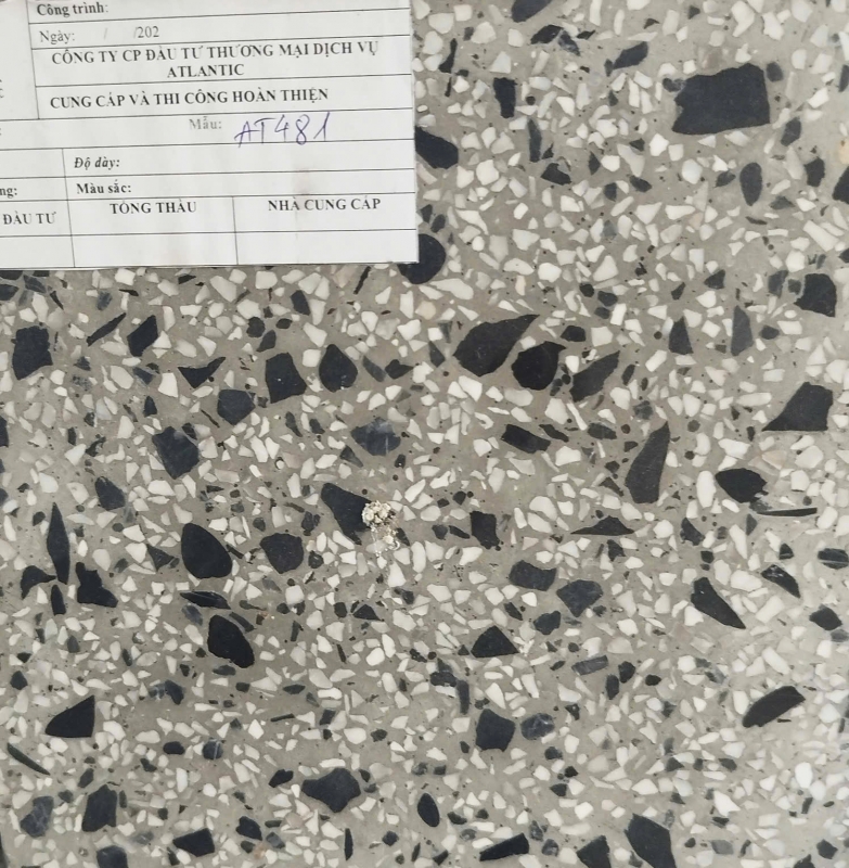 Đá mài Terrazzo AT481