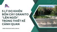 5 lý do khiến bồn cây granito “lên ngôi” trong thiết kế cảnh quan