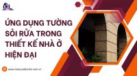 Ứng dụng tường sỏi rửa trong thiết kế nhà ở hiện đại