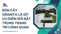 Bồn cây granito là gì? Ưu điểm nổi bật trong trang trí cảnh quan