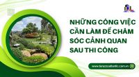 Những công việc cần làm để chăm sóc cảnh quan sau thi công