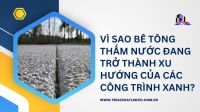 Vì sao bê tông thấm nước đang trở thành xu hướng của các công trình xanh?
